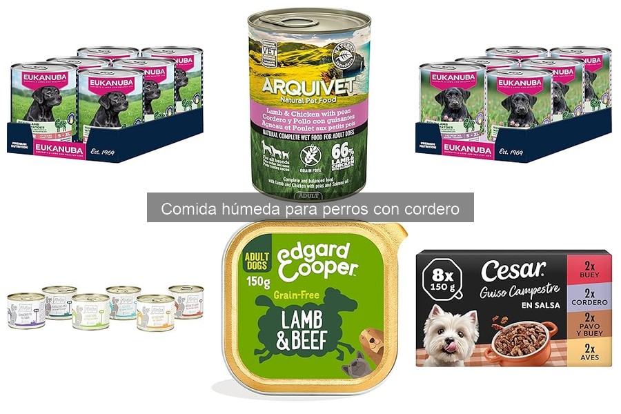 Ingredientes a Evitar en Comida Húmeda de Cordero para Perros