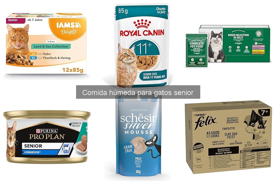 Ingredientes a Evitar en Comida Húmeda para Gatos Senior