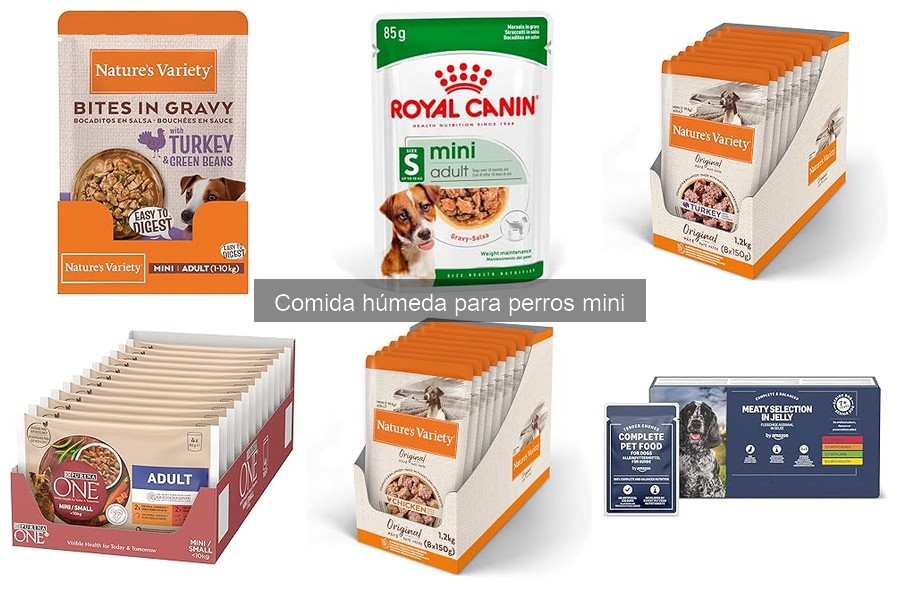 Ingredientes a evitar en comida húmeda para perros mini