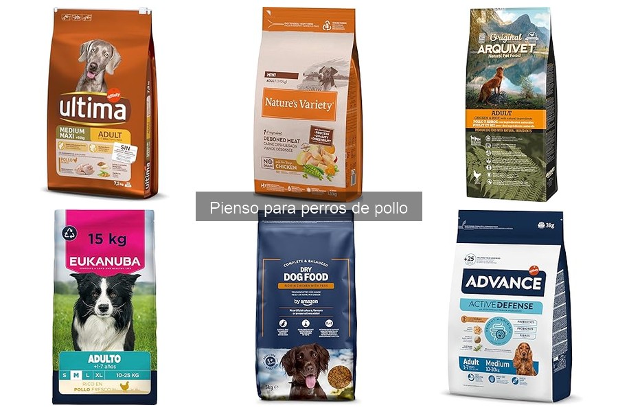 Ingredientes a Evitar en el Pienso para Perros de Pollo
