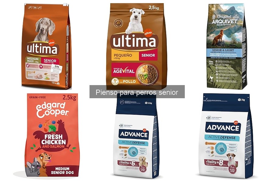 Ingredientes a Evitar en el Pienso para Perros Senior