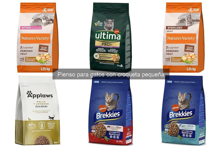 Ingredientes Clave en el Pienso para Gatos con Croqueta Pequeña