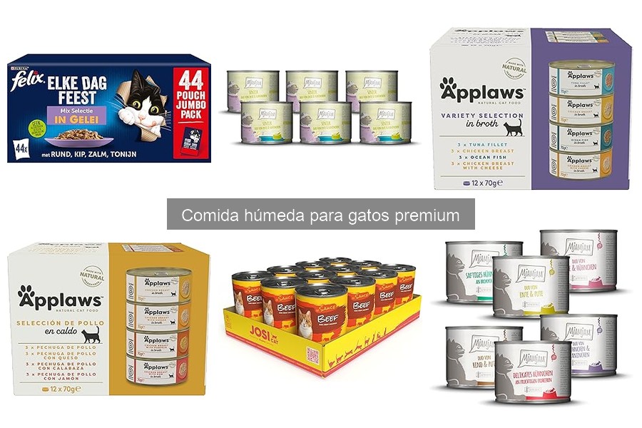 Ingredientes clave en la comida húmeda para gatos premium