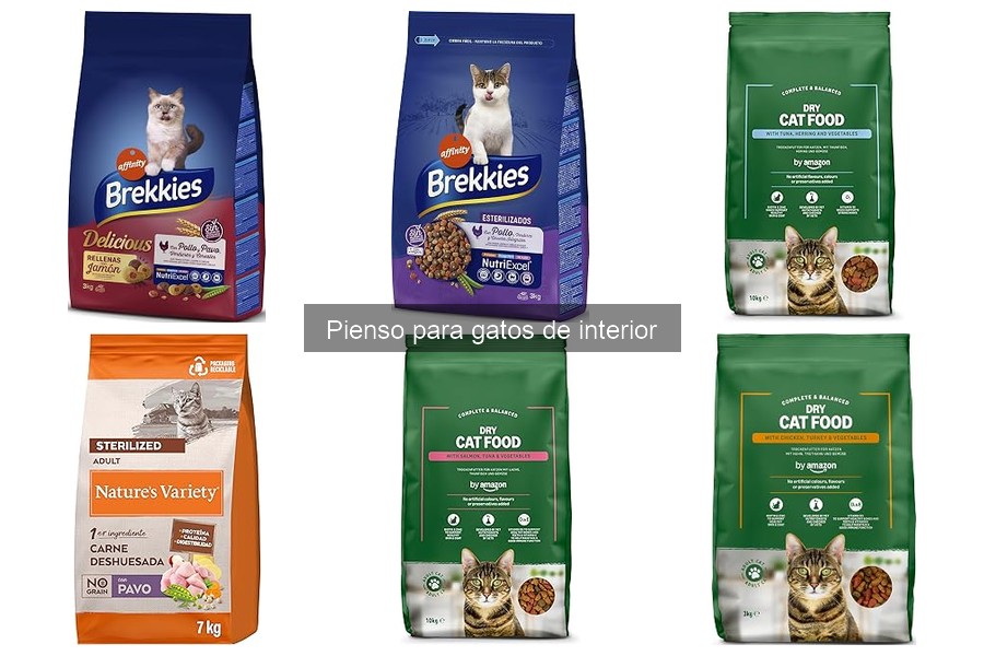 Ingredientes esenciales en el pienso para gatos de interior