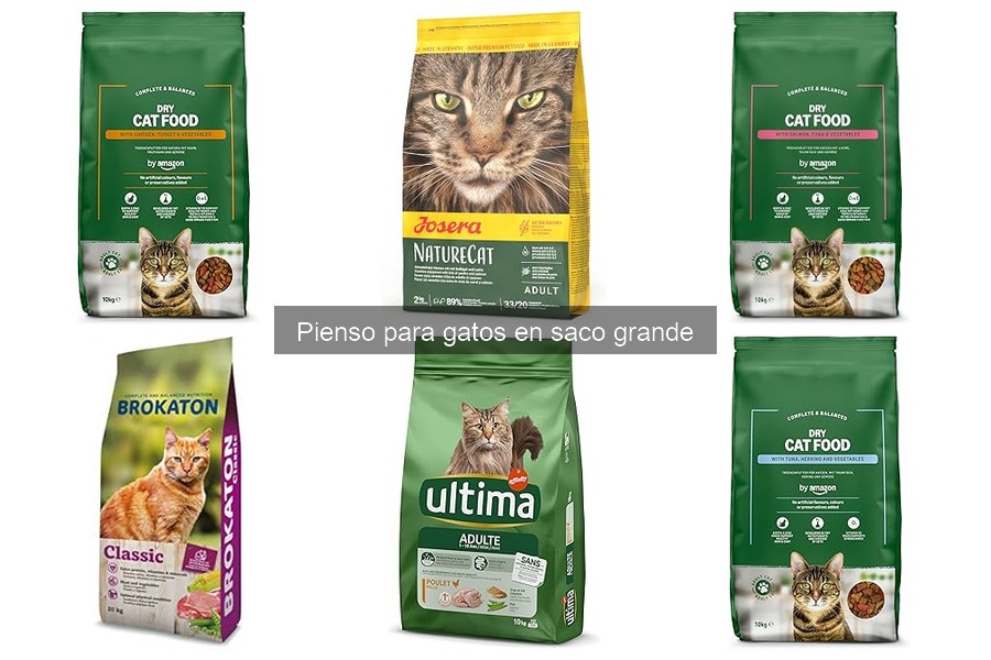 Ingredientes Esenciales en el Pienso para Gatos en Saco Grande