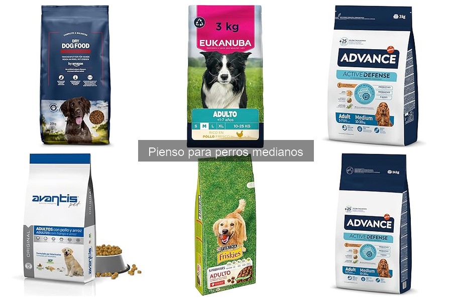 Ingredientes esenciales en el pienso para perros medianos