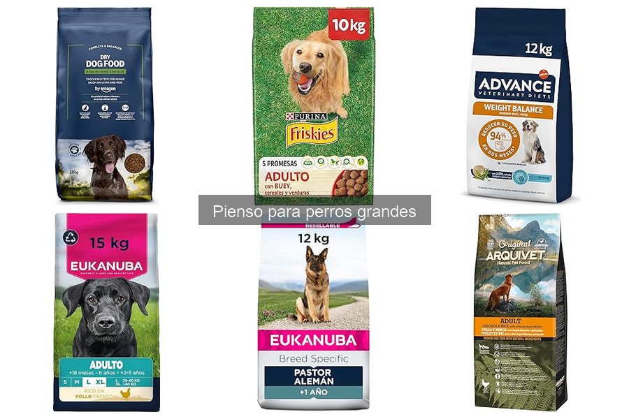 Ingredientes esenciales en pienso para perros grandes
