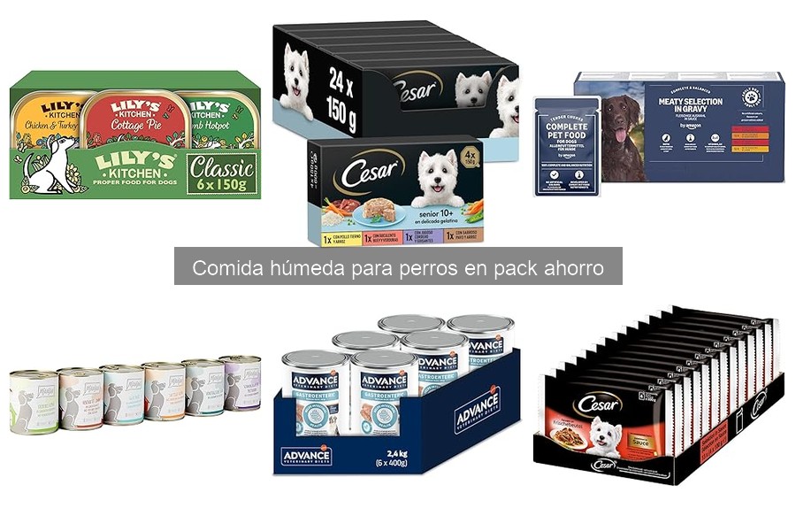 Ingredientes que debes evitar en la comida húmeda para perros