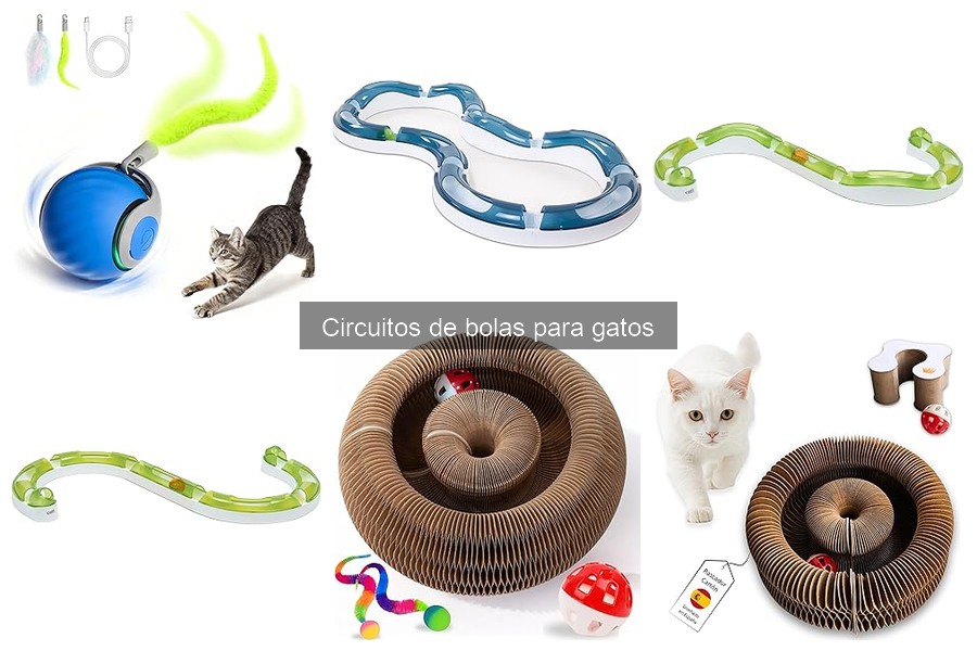 Instalación y Configuración de Circuitos de Bolas para Gatos