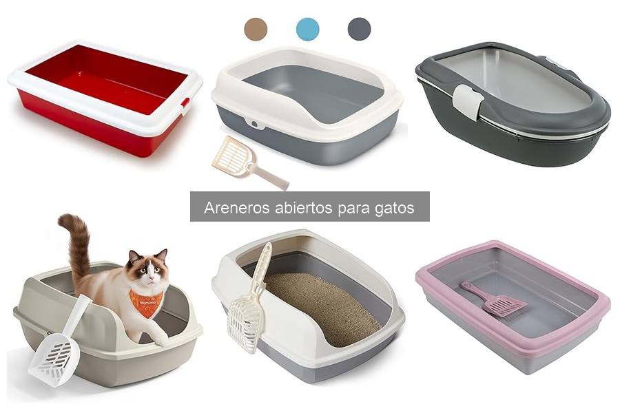 Instrucciones para Instalar un Arenero Abierto para Gatos