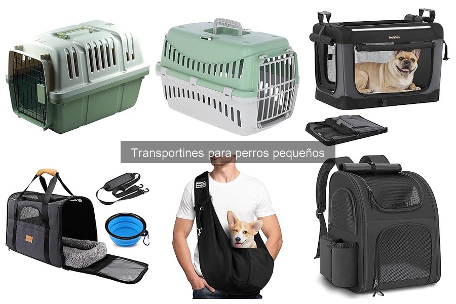 Instrucciones para usar correctamente un transportín para perros