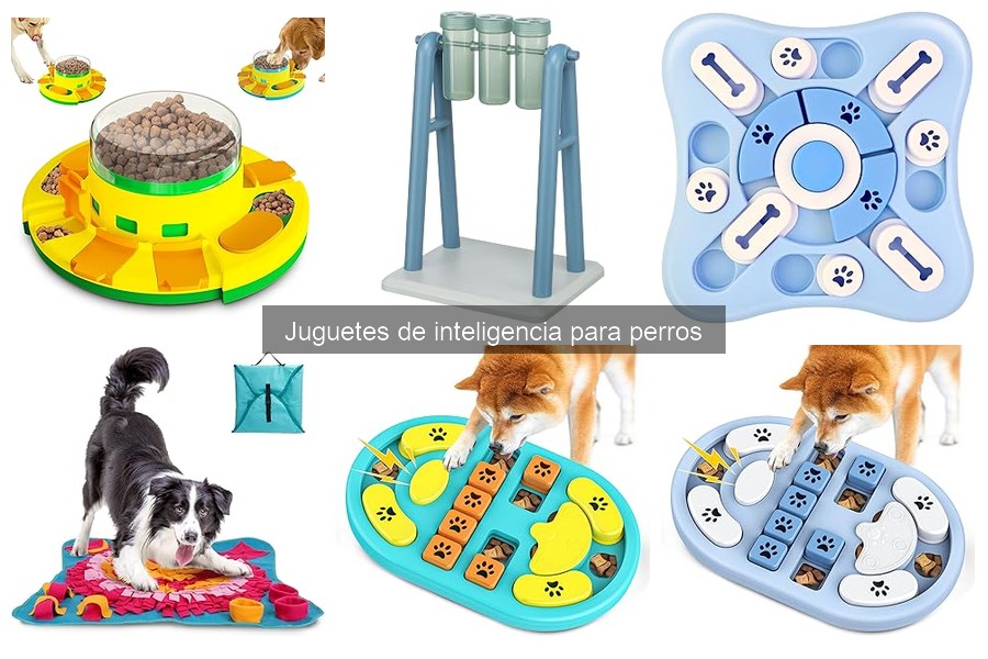Juguetes de Inteligencia para Perros Recomendados por Veterinarios