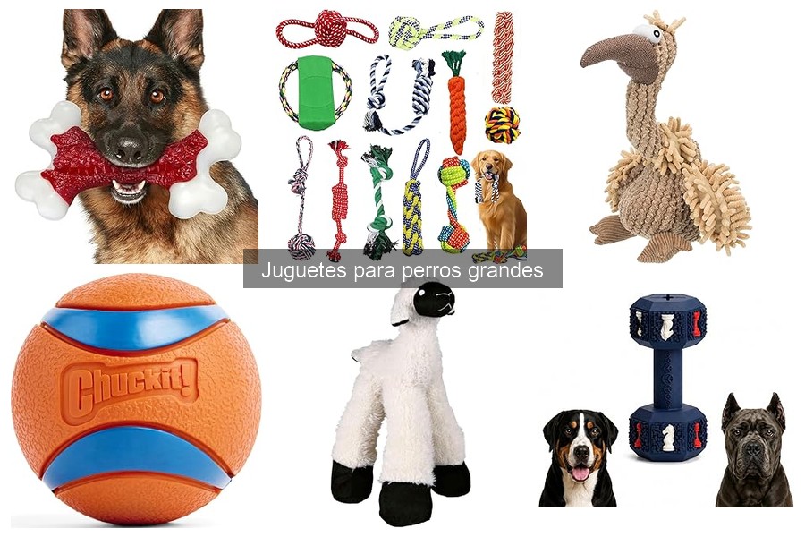 Juguetes duraderos para perros grandes que muerden
