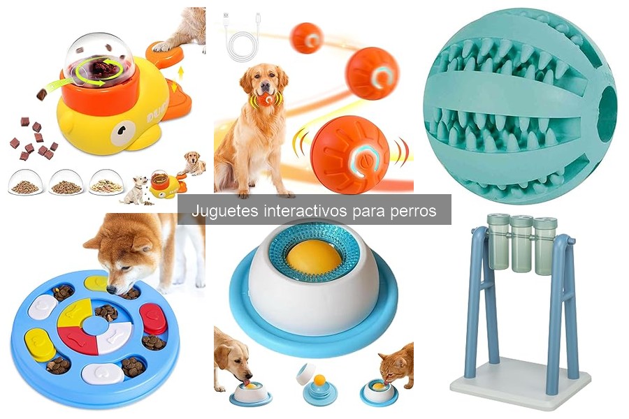 Juguetes Interactivos para Perros que Estimulan su Mente
