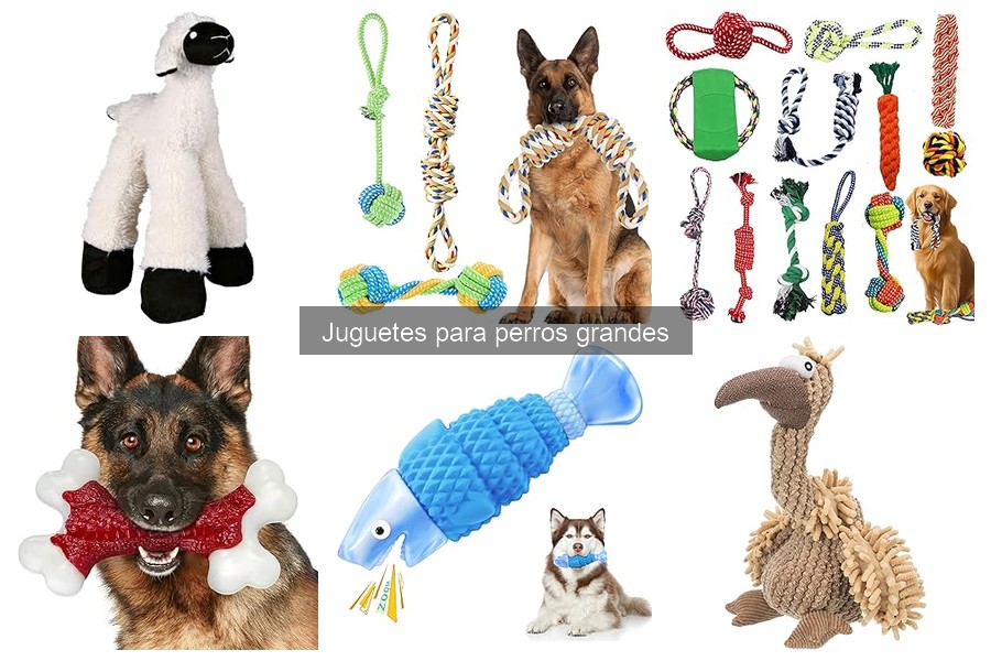Juguetes para perros grandes que mejoran el adiestramiento