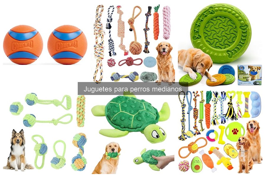 Juguetes para Perros Medianos contra la Ansiedad: ¡Recomendaciones!