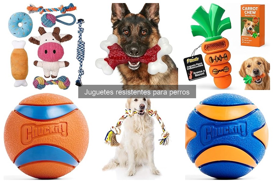 Juguetes resistentes para perros: características y beneficios