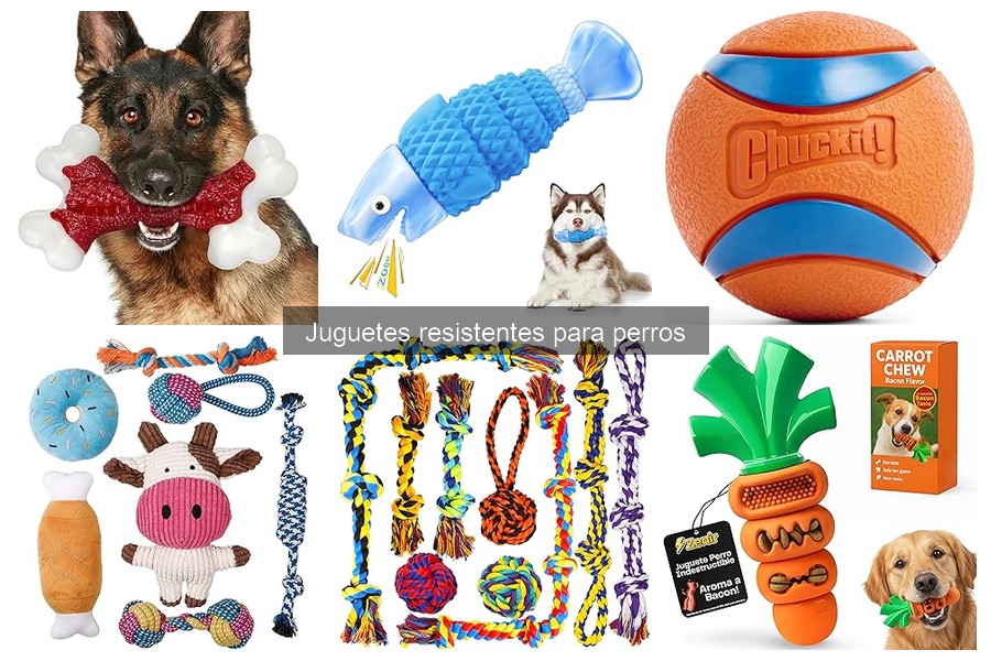 Juguetes resistentes para perros y su impacto en el comportamiento