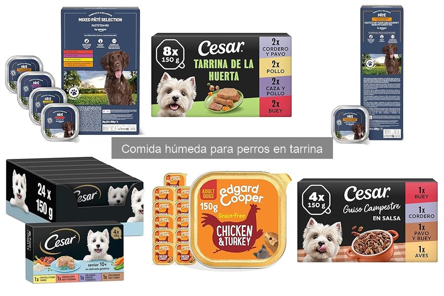 La mejor comida húmeda para perros con alergias