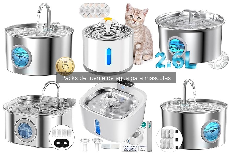 ¿Las fuentes de agua mejoran la hidratación de perros y gatos?