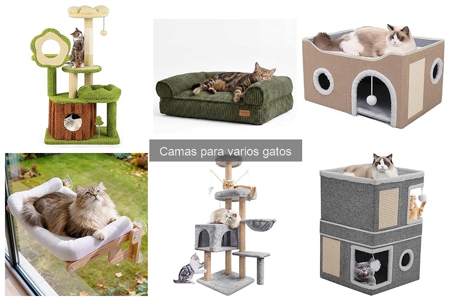 Las mejores camas para gatos que muerden: resistentes y cómodas
