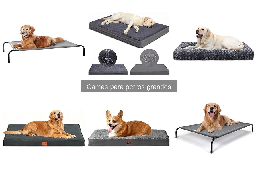 Las Mejores Camas para Perros Grandes: Comparativa 2023