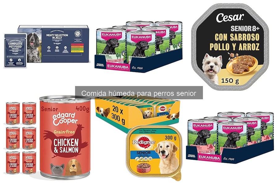 Las mejores comidas húmedas para perros senior según veterinarios