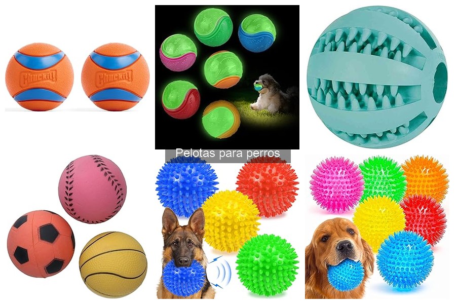 Las Pelotas Más Seguras para Perros: Guía de Compras