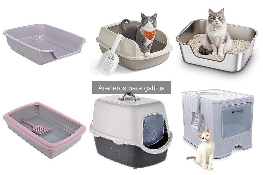 Los Mejores Areneros para Gatitos: ¿Cuál Elegir?