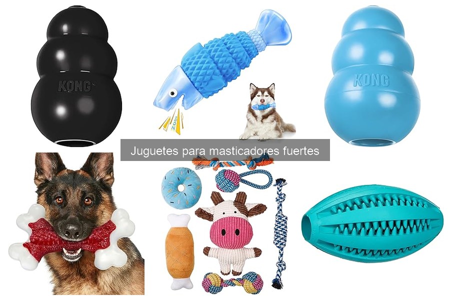 Los mejores juguetes para perros que mastican fuerte