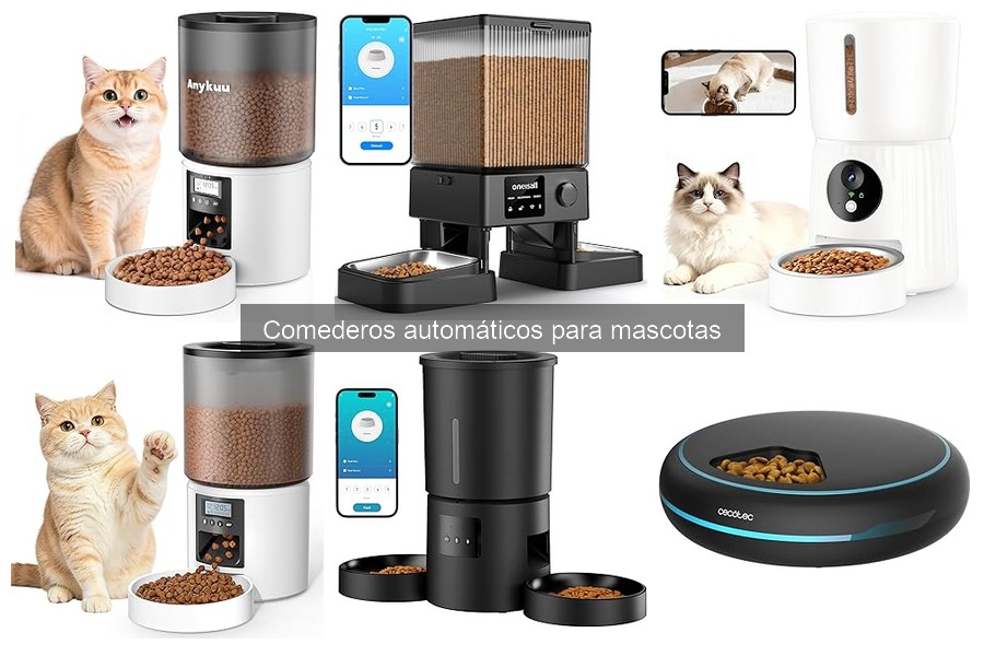 Mantén tu comedero automático en perfecto estado