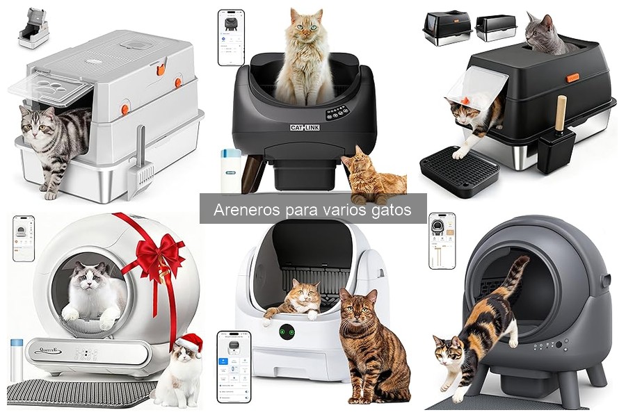 Mantenimiento de Areneros para Varios Gatos: Guía Práctica