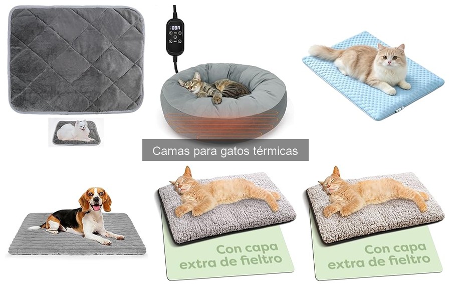 Mantenimiento de camas térmicas para gatos: Consejos prácticos