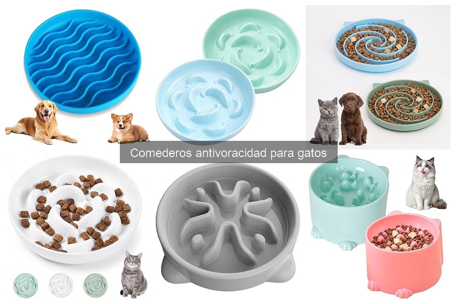 Mantenimiento de Comederos Antivoracidad para Gatos