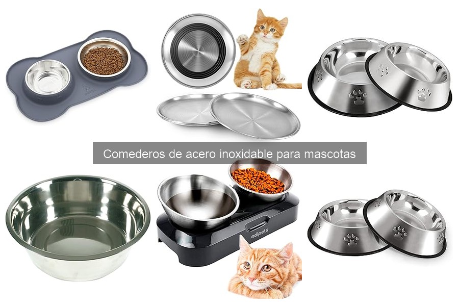 Mantenimiento de Comederos de Acero Inoxidable para Mascotas