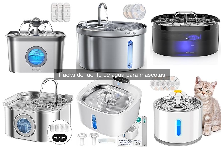 Mantenimiento de Fuentes de Agua para Mascotas: Guía Práctica