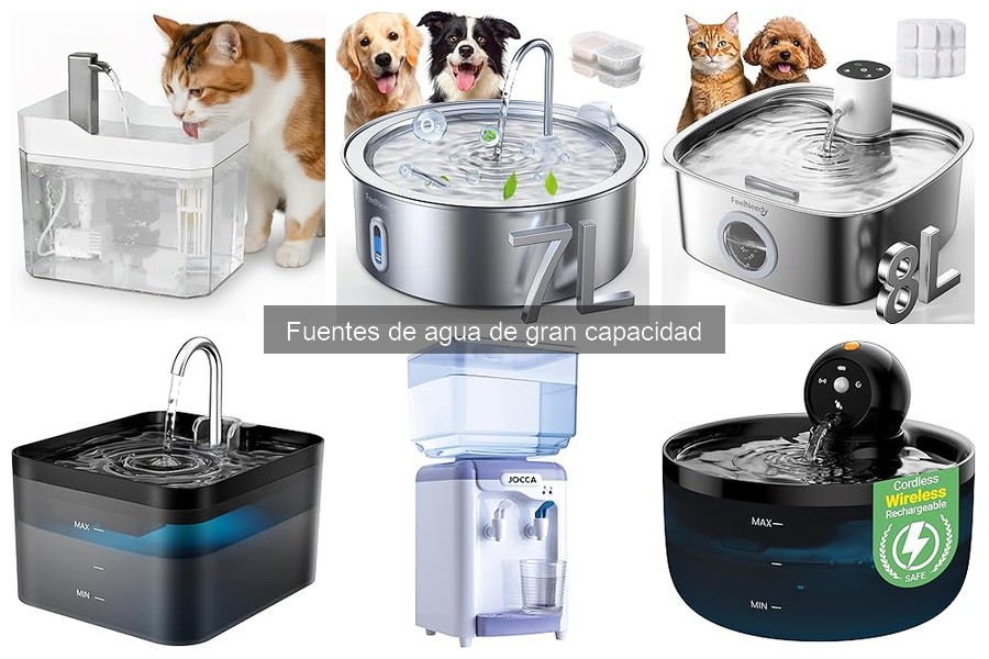 Mantenimiento de fuentes de agua para mascotas: limpieza y cuidados