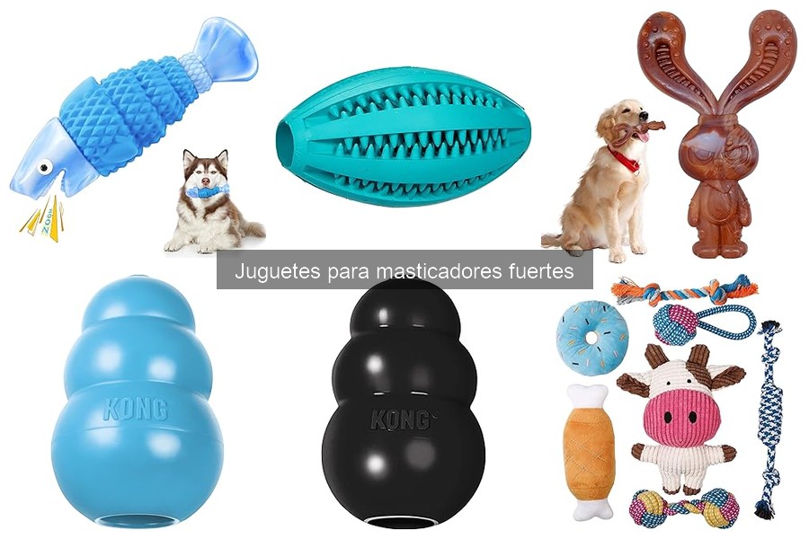 Mantenimiento de juguetes para perros masticadores fuertes