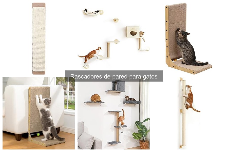 Mantenimiento de Rascadores de Pared para Gatos: Guía Práctica
