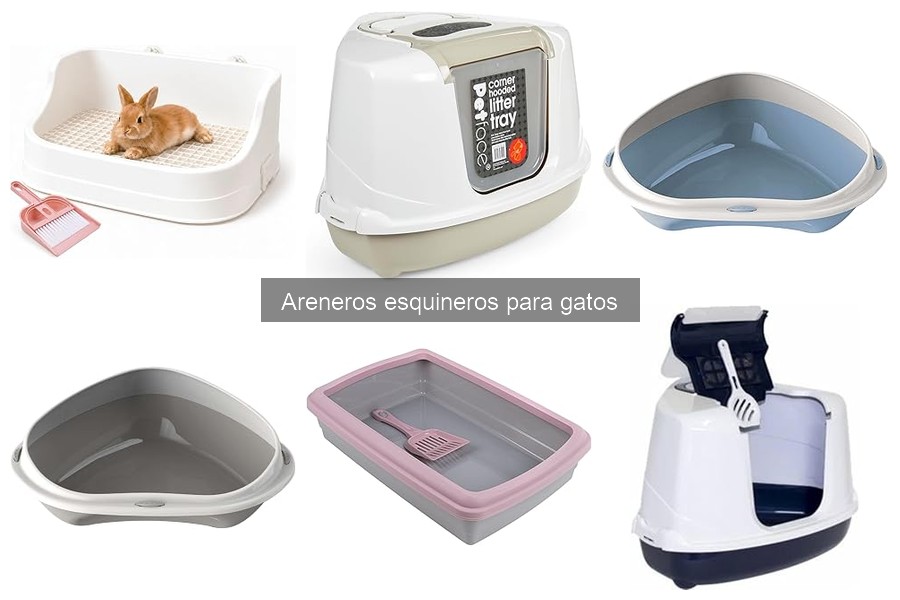Mantenimiento y limpieza de areneros esquineros para gatos