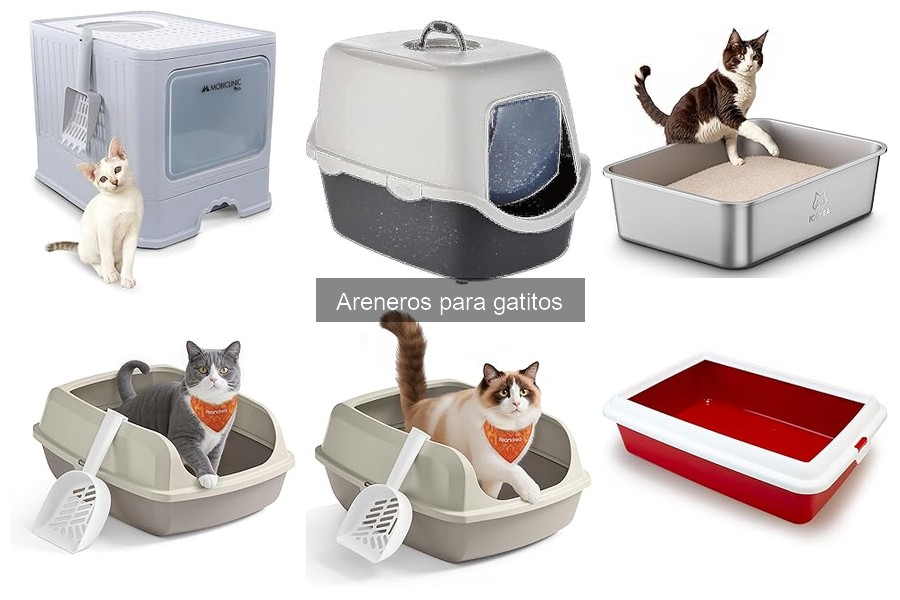 Mantenimiento y limpieza de areneros para gatitos