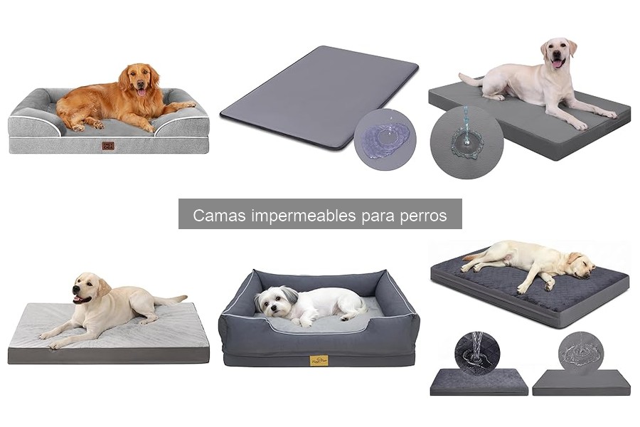 Mantenimiento y limpieza de camas impermeables para perros