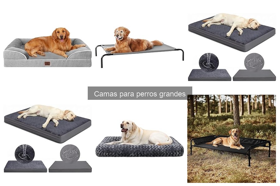 Mantenimiento y limpieza de camas para perros grandes