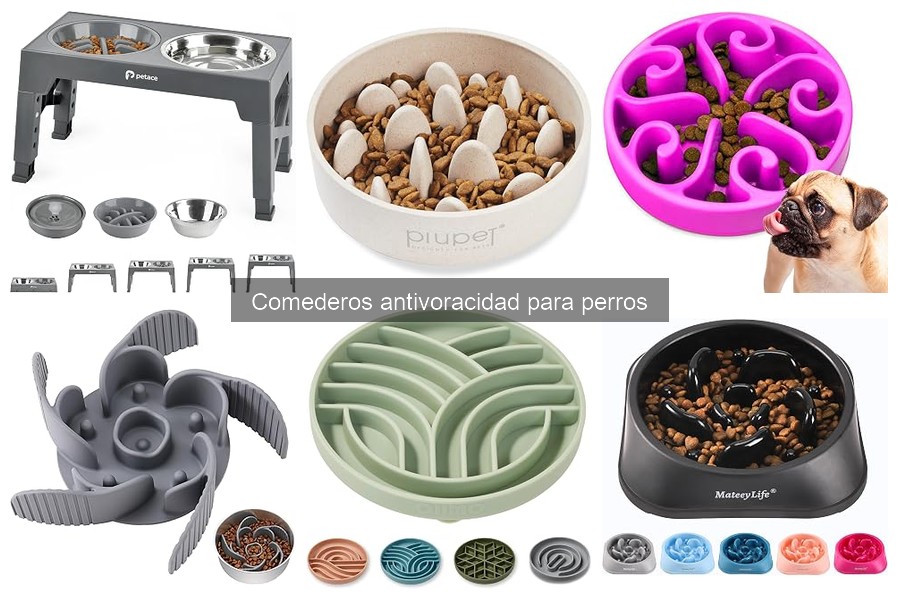 Mantenimiento y limpieza de comederos antivoracidad para perros