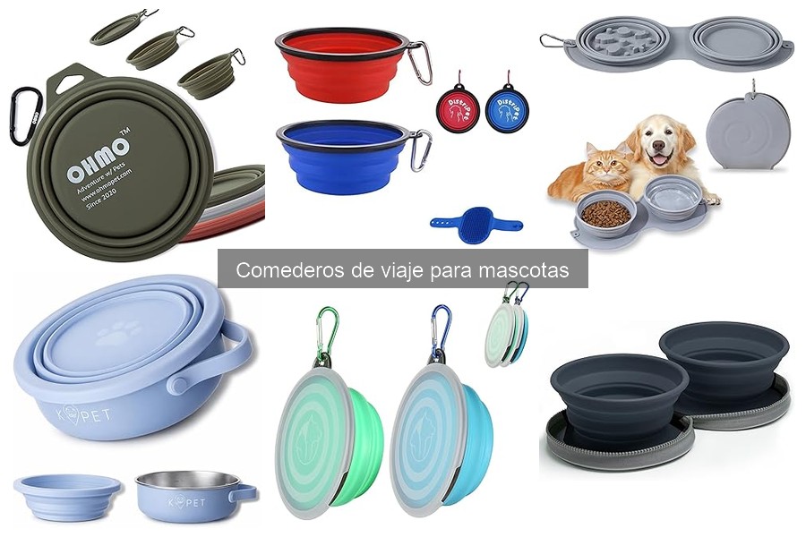 Mantenimiento y limpieza de comederos de viaje para mascotas