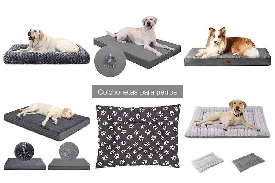 Marcas recomendadas de colchonetas para perros
