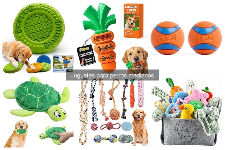 Materiales ideales para juguetes de perros medianos