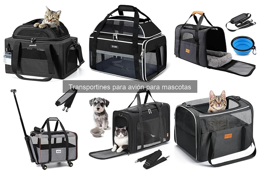 Medidas ideales de transportín para avión de mascotas