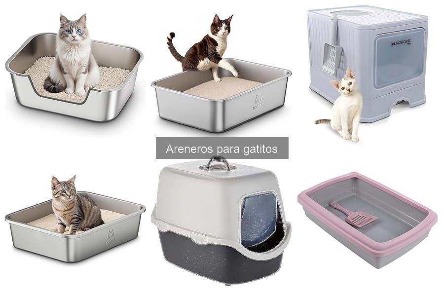 Mejor arenero para múltiples gatos: guía de selección