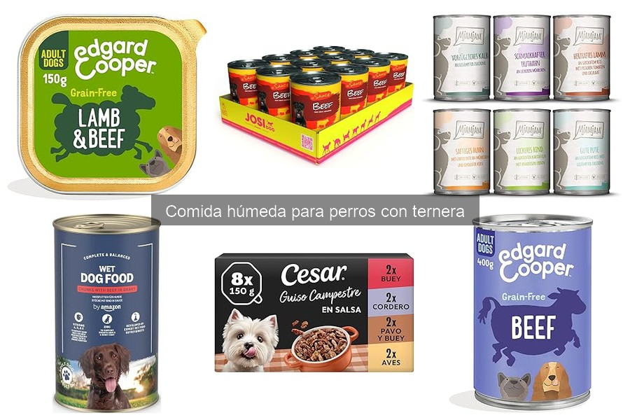 Mejor comida húmeda con ternera para perros digestivos
